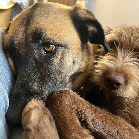 Lejlighed New! Remote Cosy Covas (Coimbra)