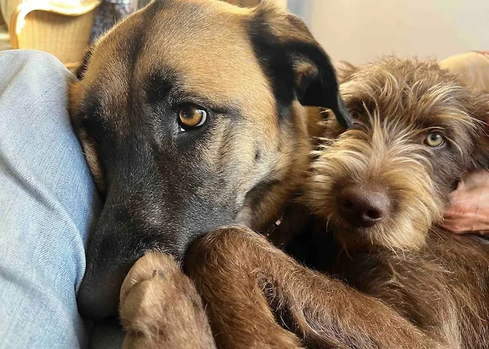 Apartamento New! Remote Cosy Covas (Coimbra)